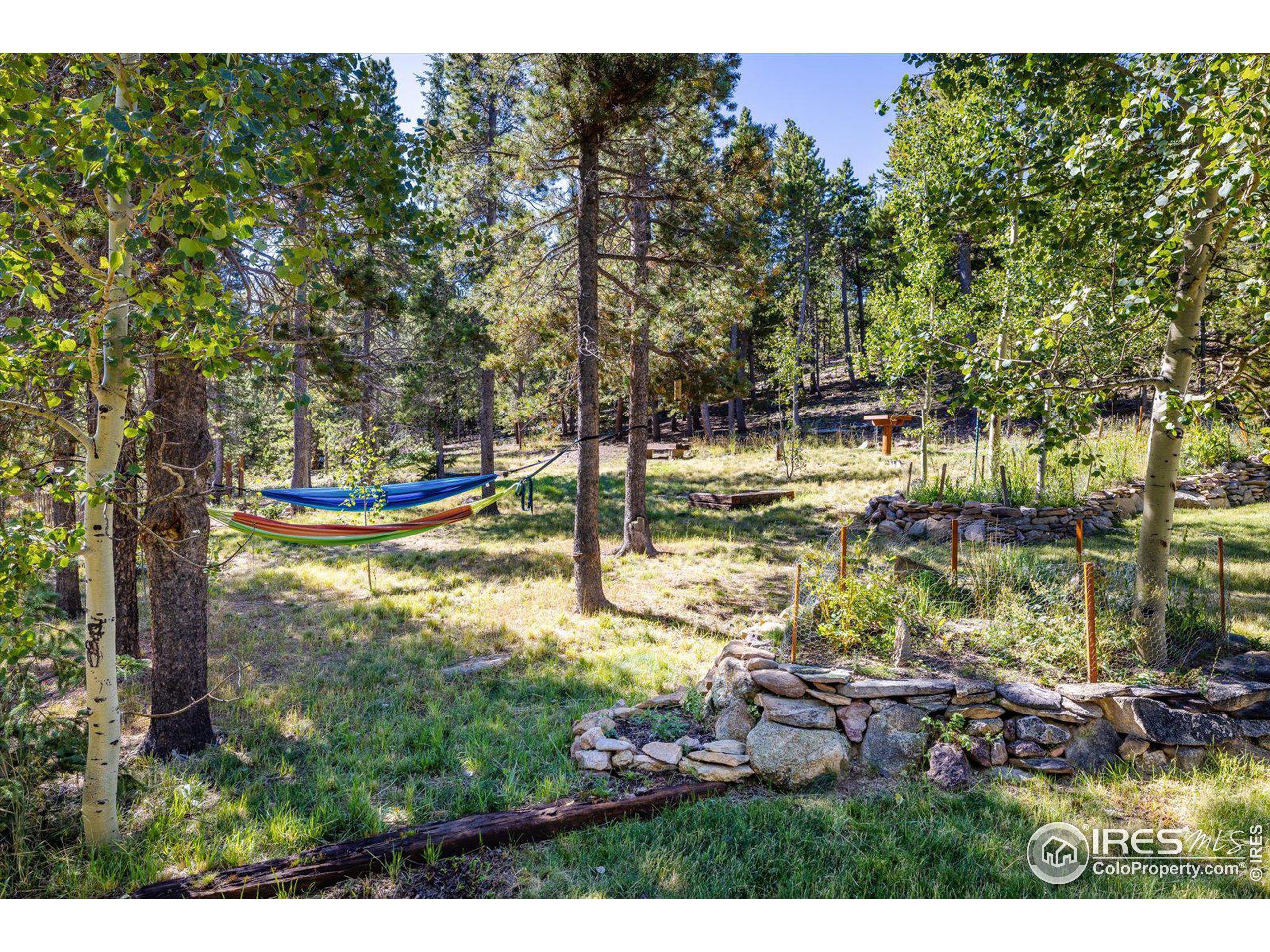 10271 Dowdle Dr