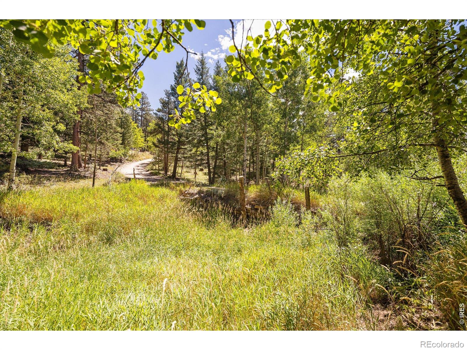 241 Pine Glade Road