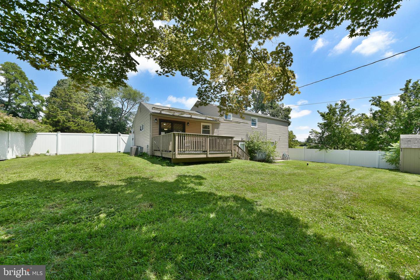 51 Lewis St