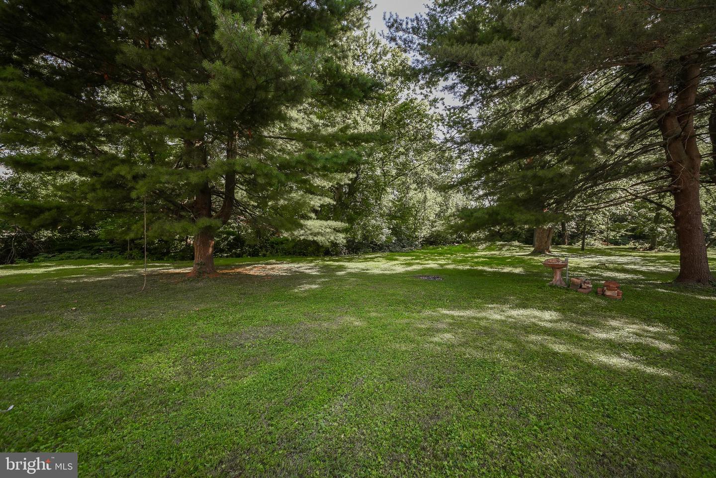 155 WOODLAWN AVENUE