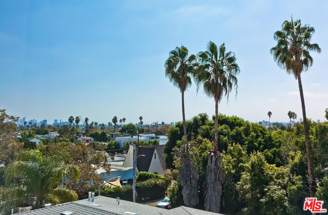 Palm trees and green rooftops frame a distant Los Angeles skyline.
