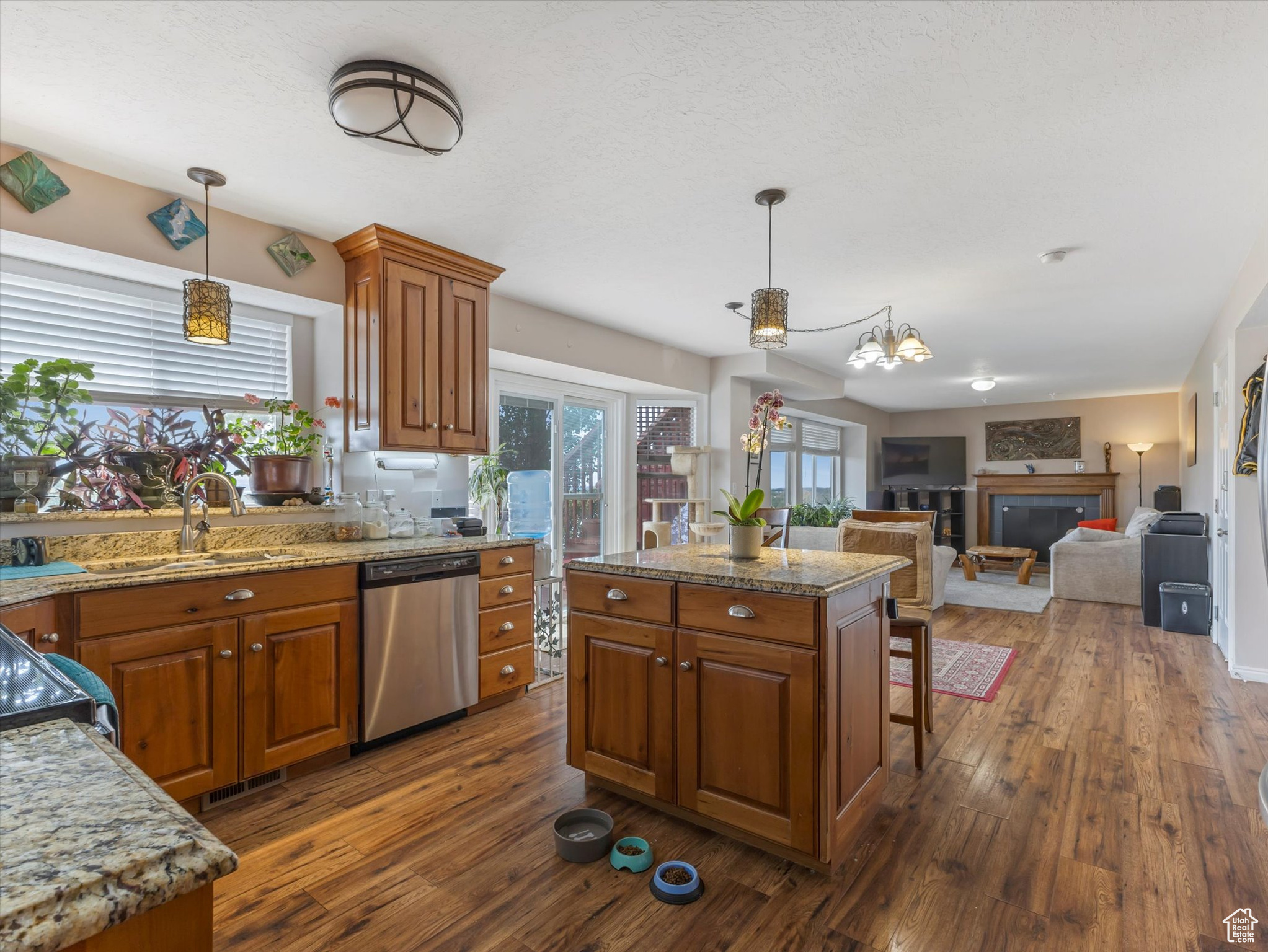 9842 S TIGER EYE DR