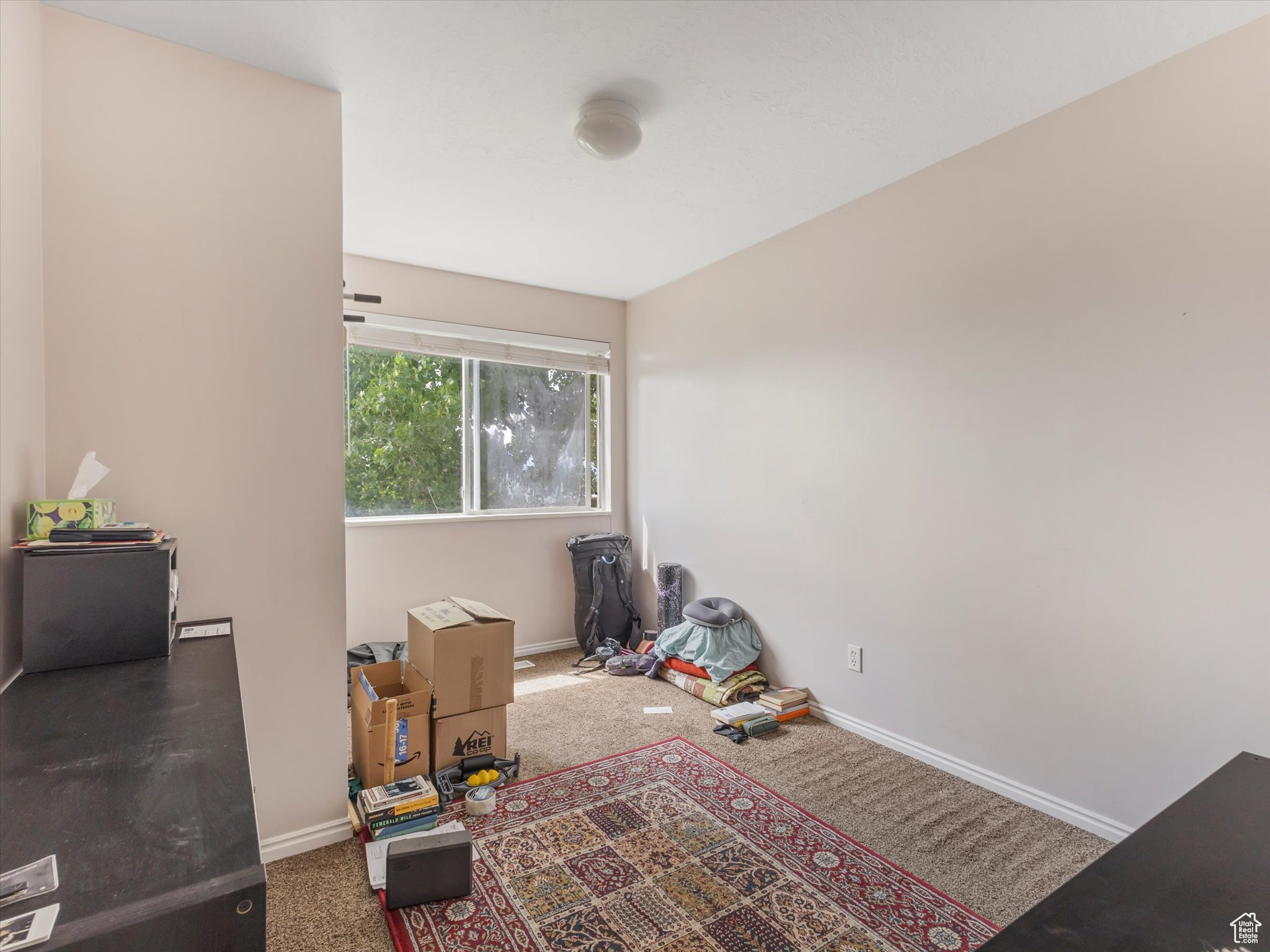 9842 S TIGER EYE DR