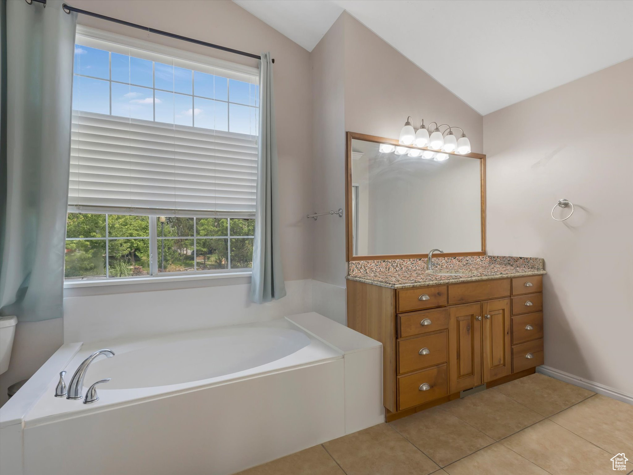 9842 S TIGER EYE DR