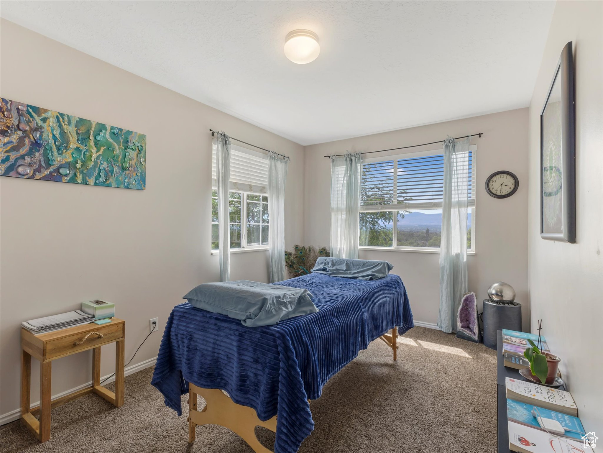 9842 S TIGER EYE DR