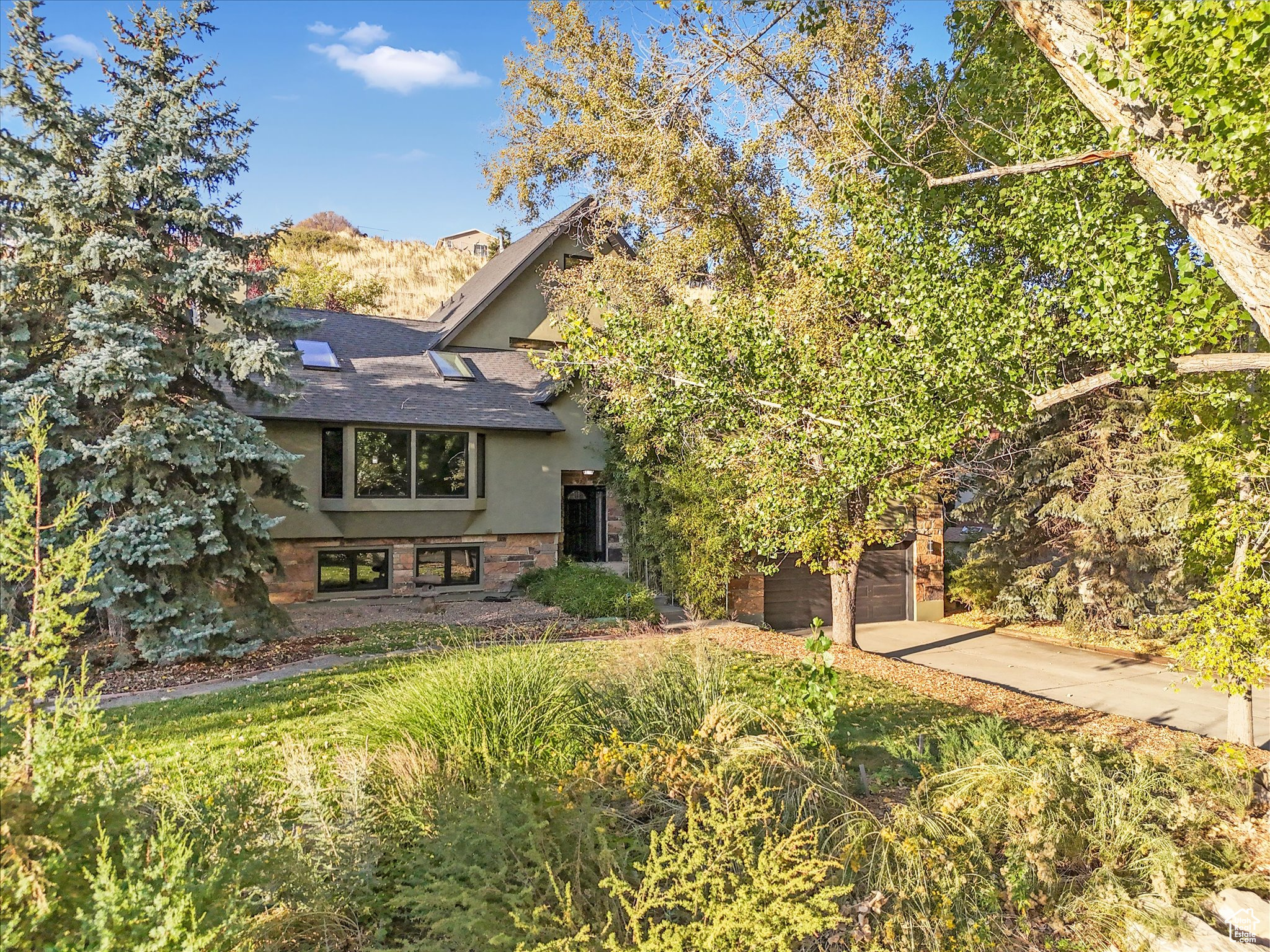 1971 E FOREST CREEK LN