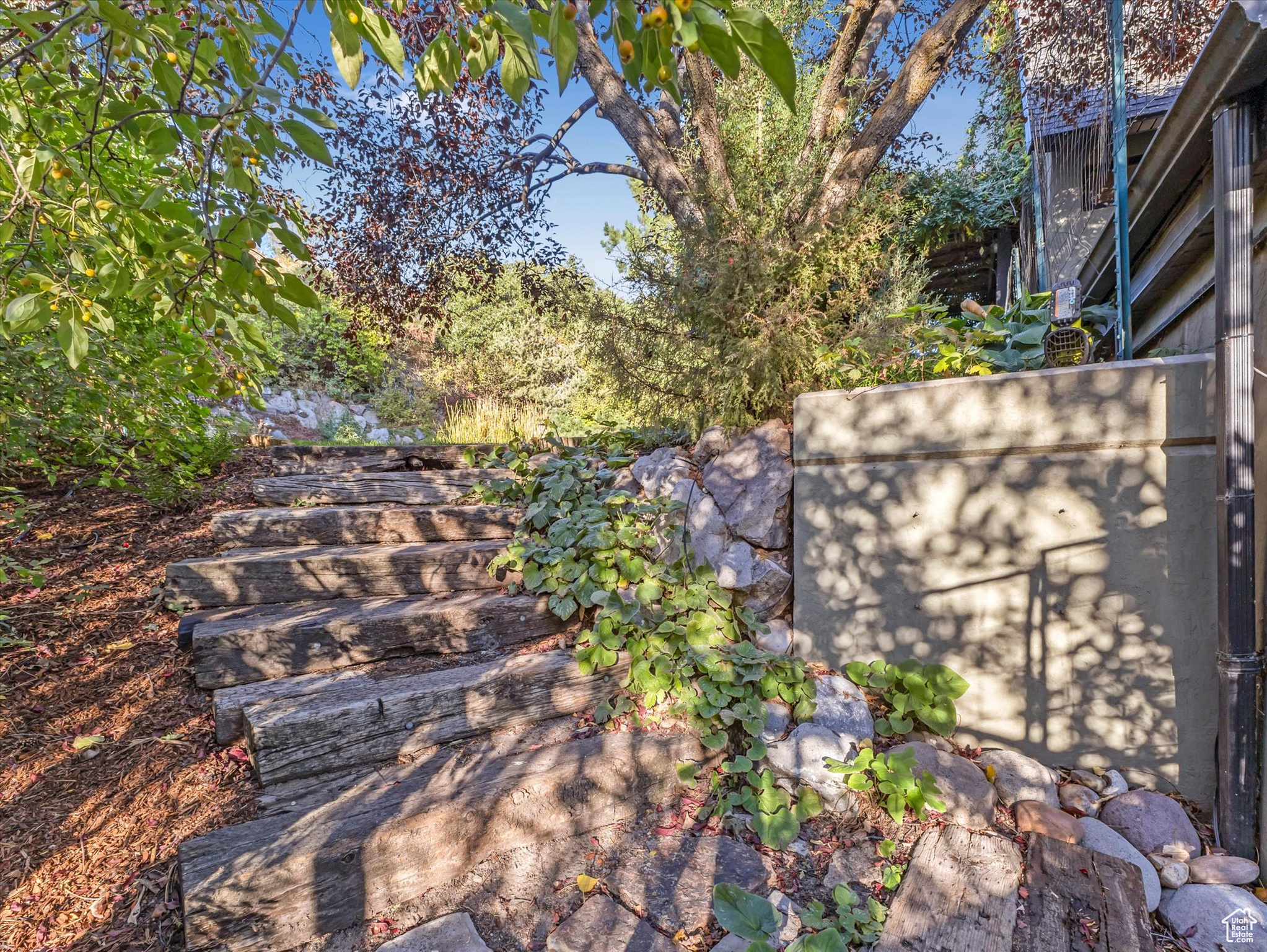 1971 E FOREST CREEK LN