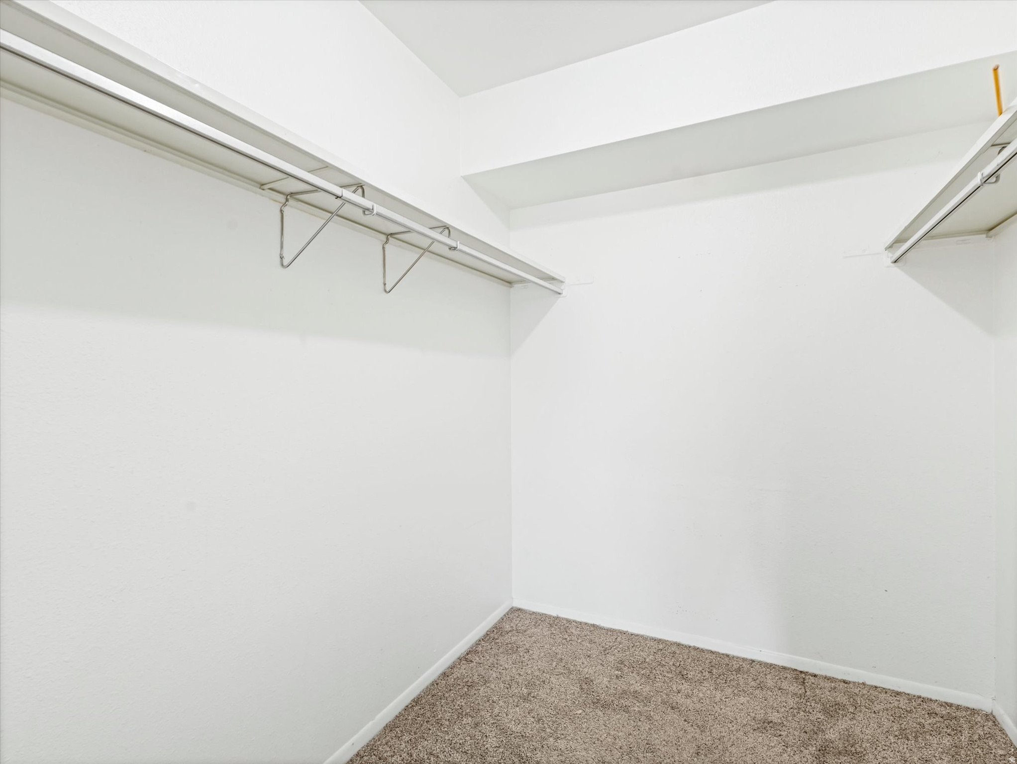 2418 S ELIZABETH ST #5