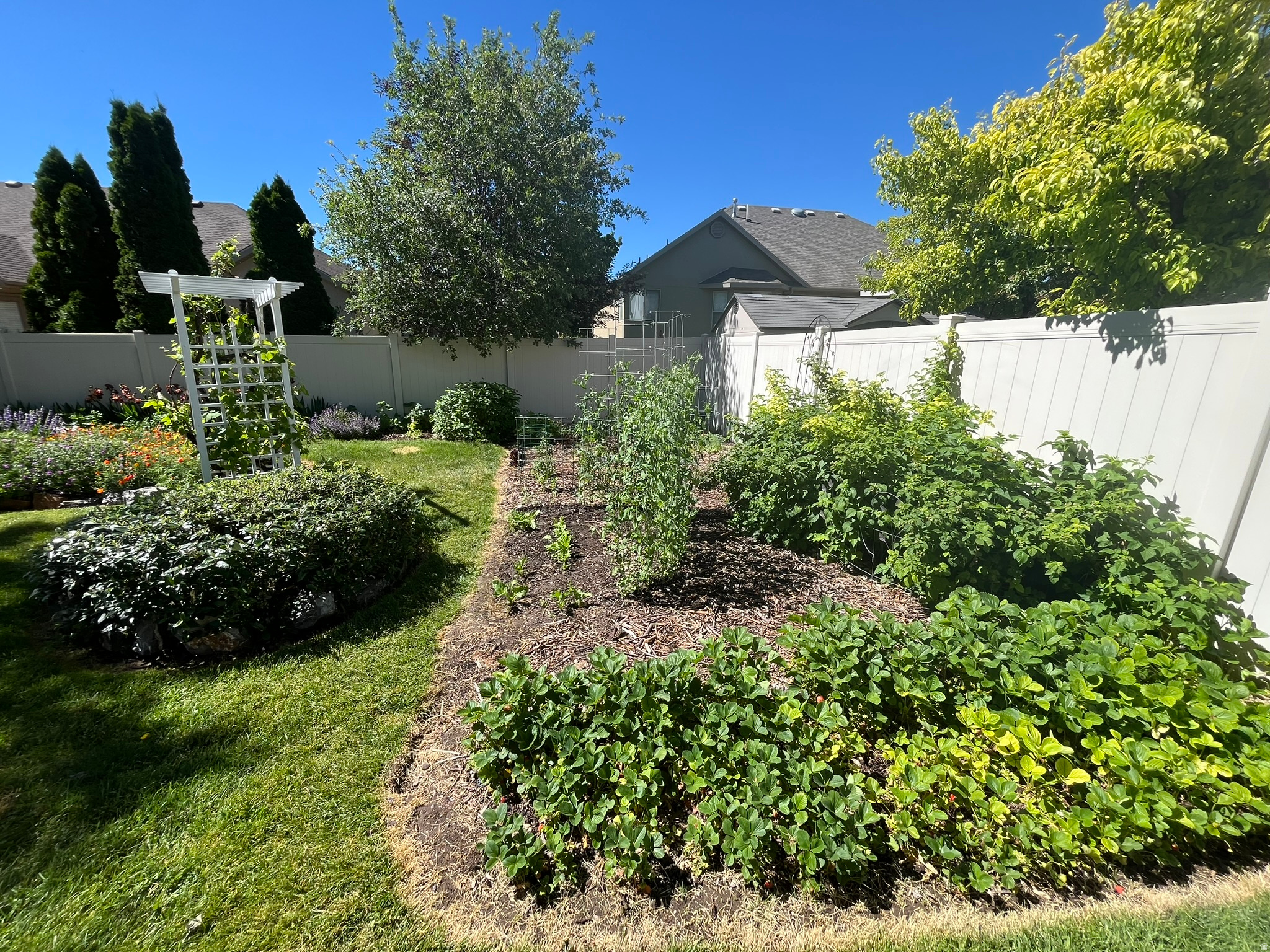 2943 W CURRENT CREEK DR
