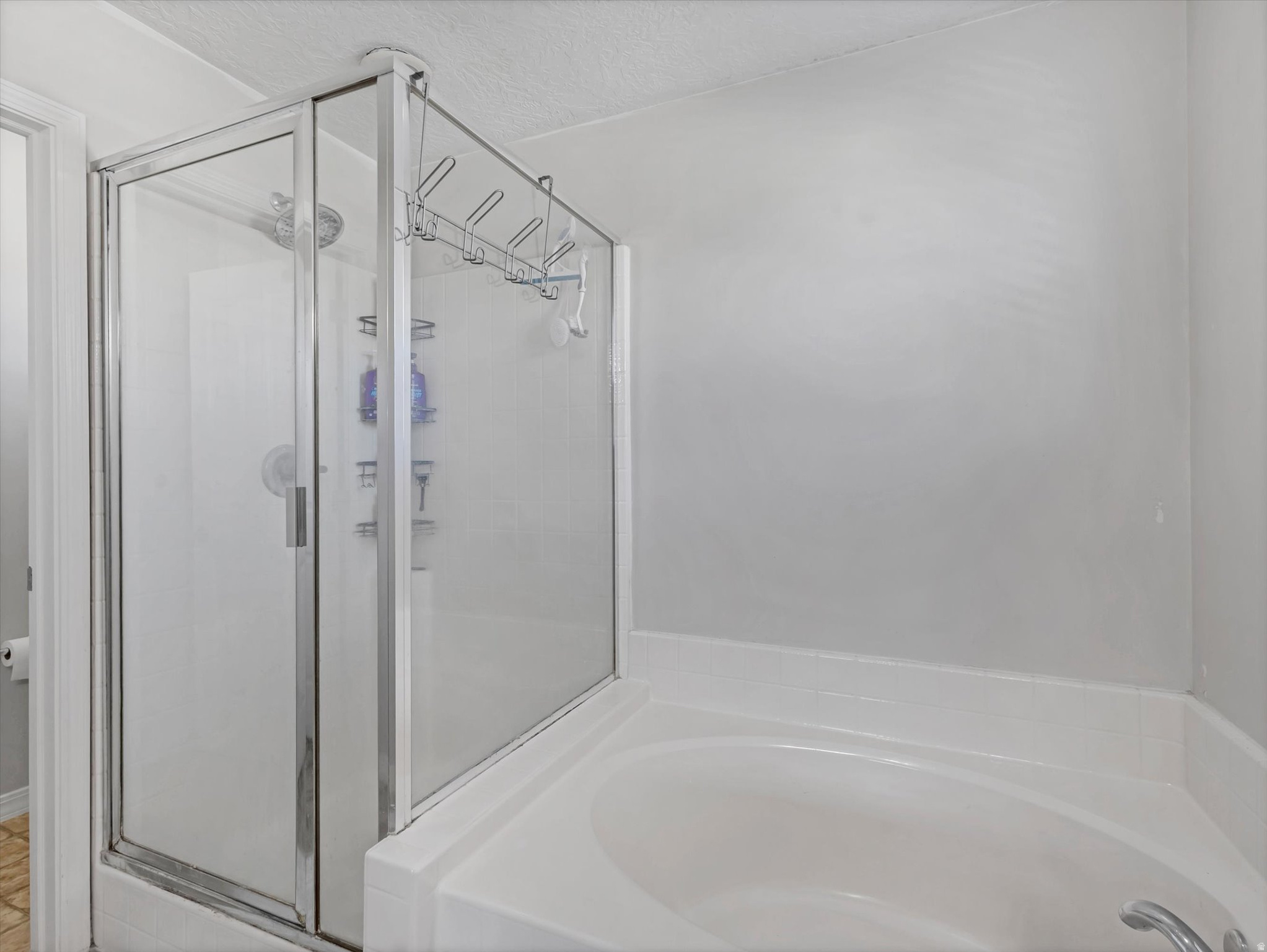 187 W BOATSMAN CIR