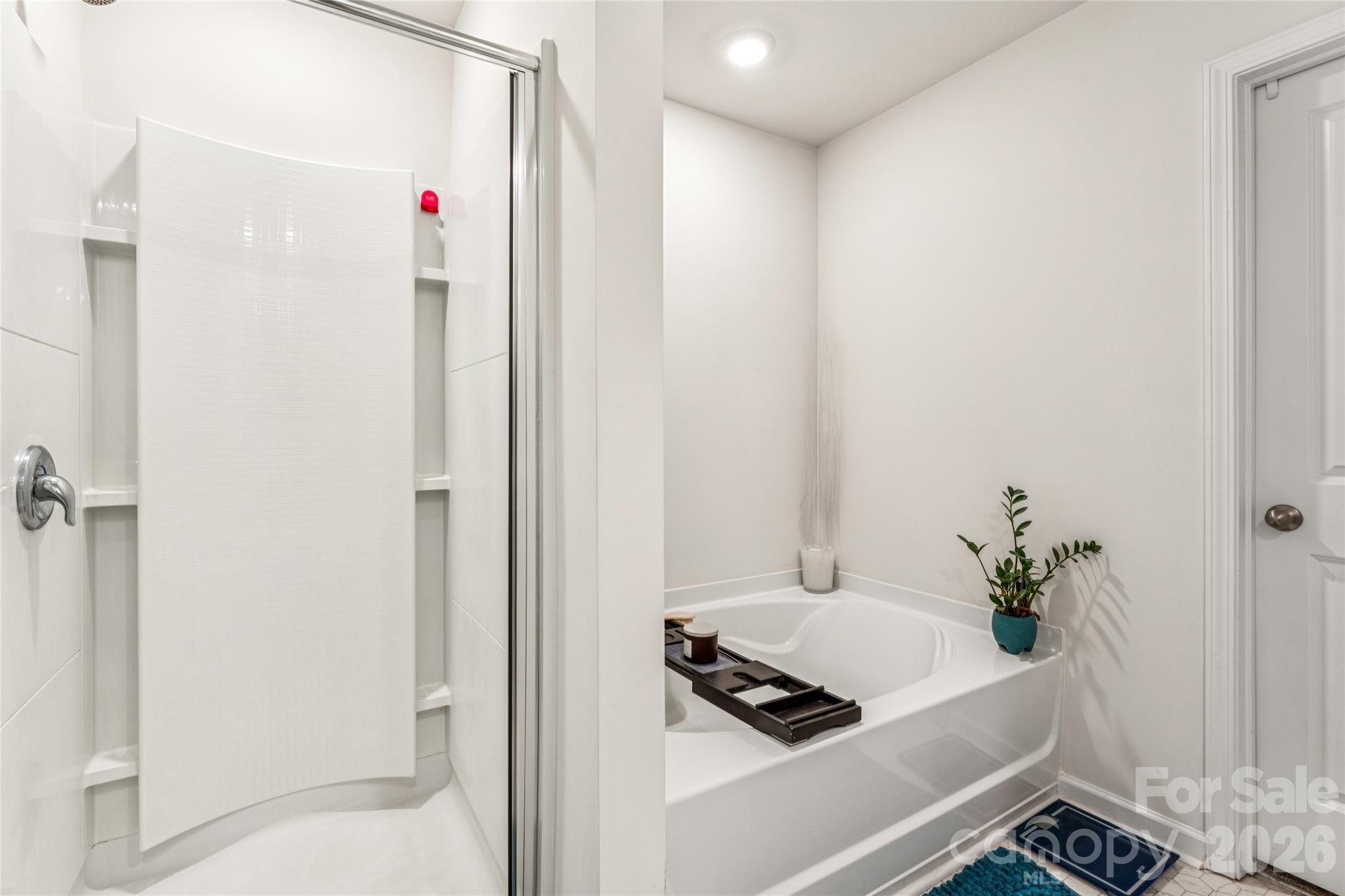 162 Giant Oak Avenue