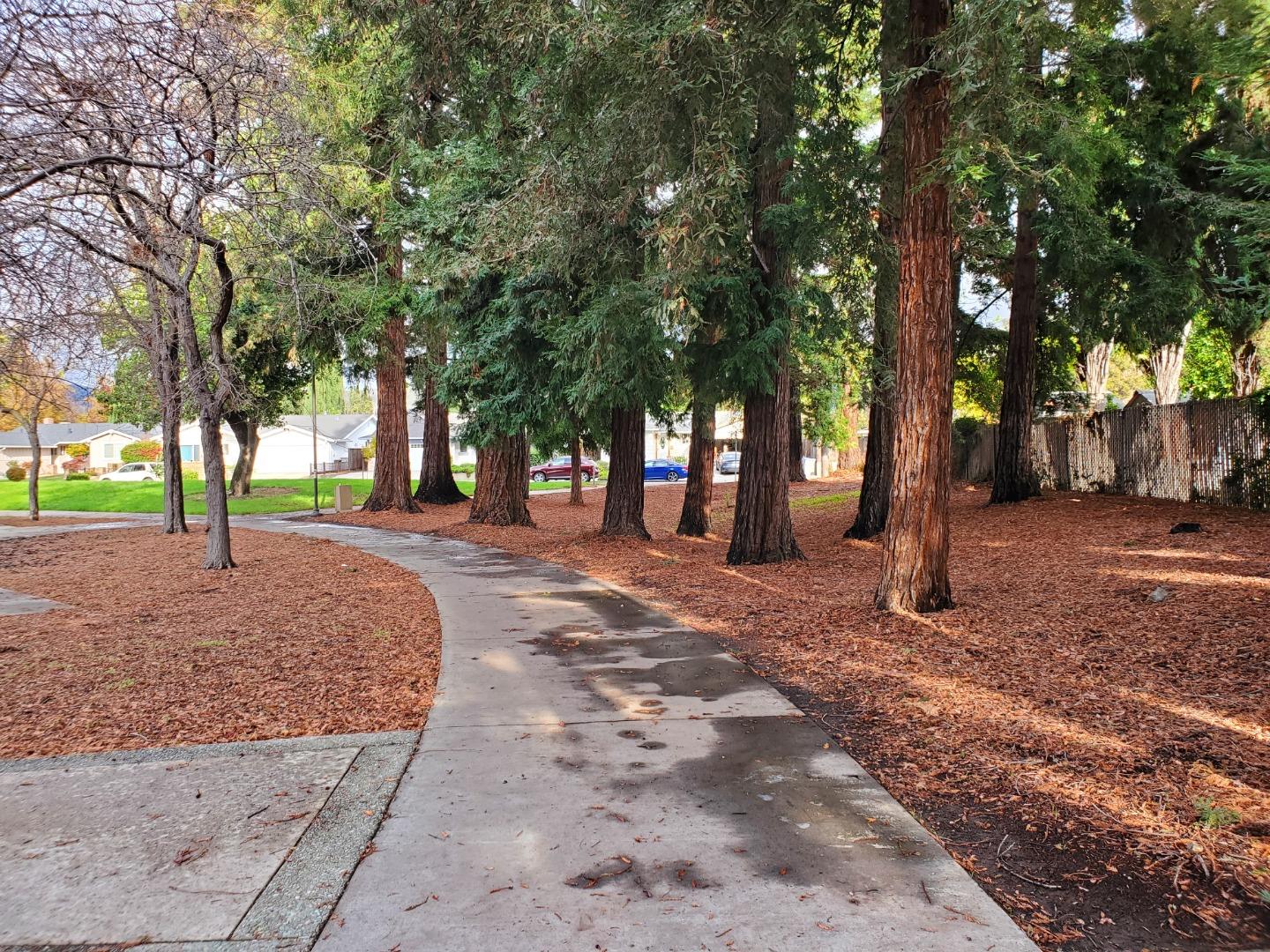 2015 Lakewood Drive