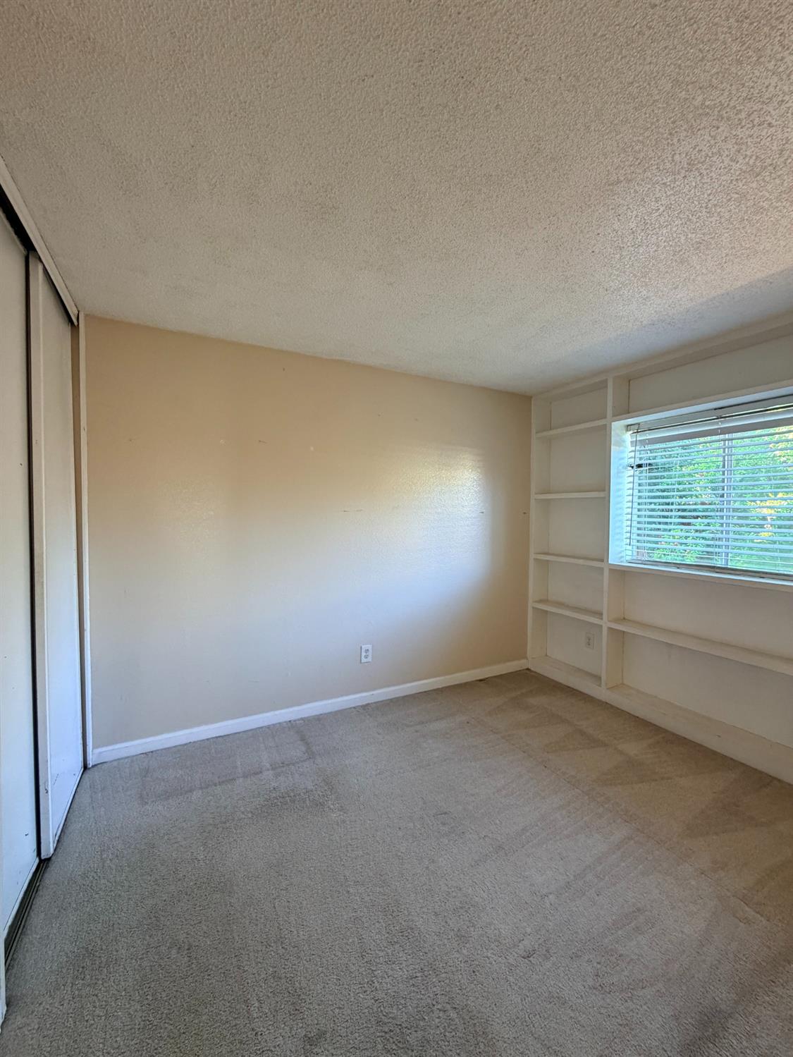 220 Bonfield Way