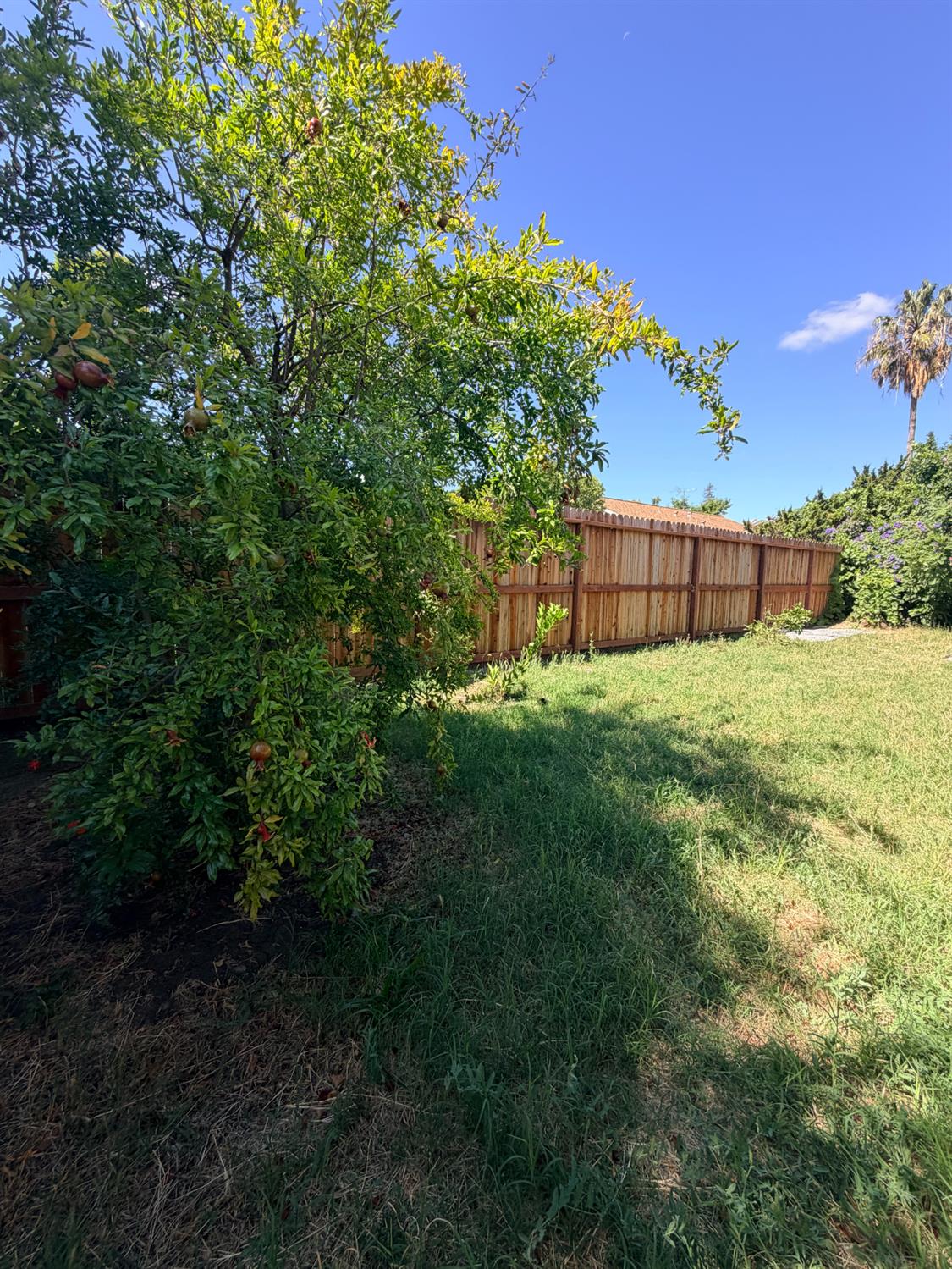 220 Bonfield Way