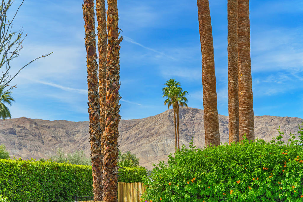 71305 Kempton Avenue