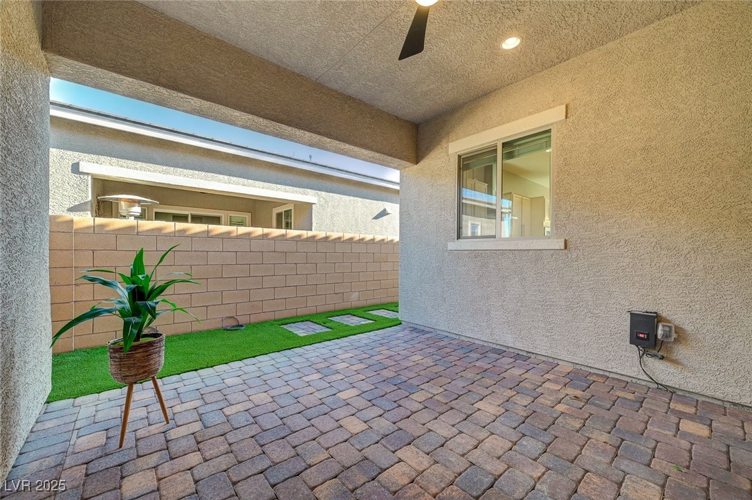 10251 Tiger Milkweed Street