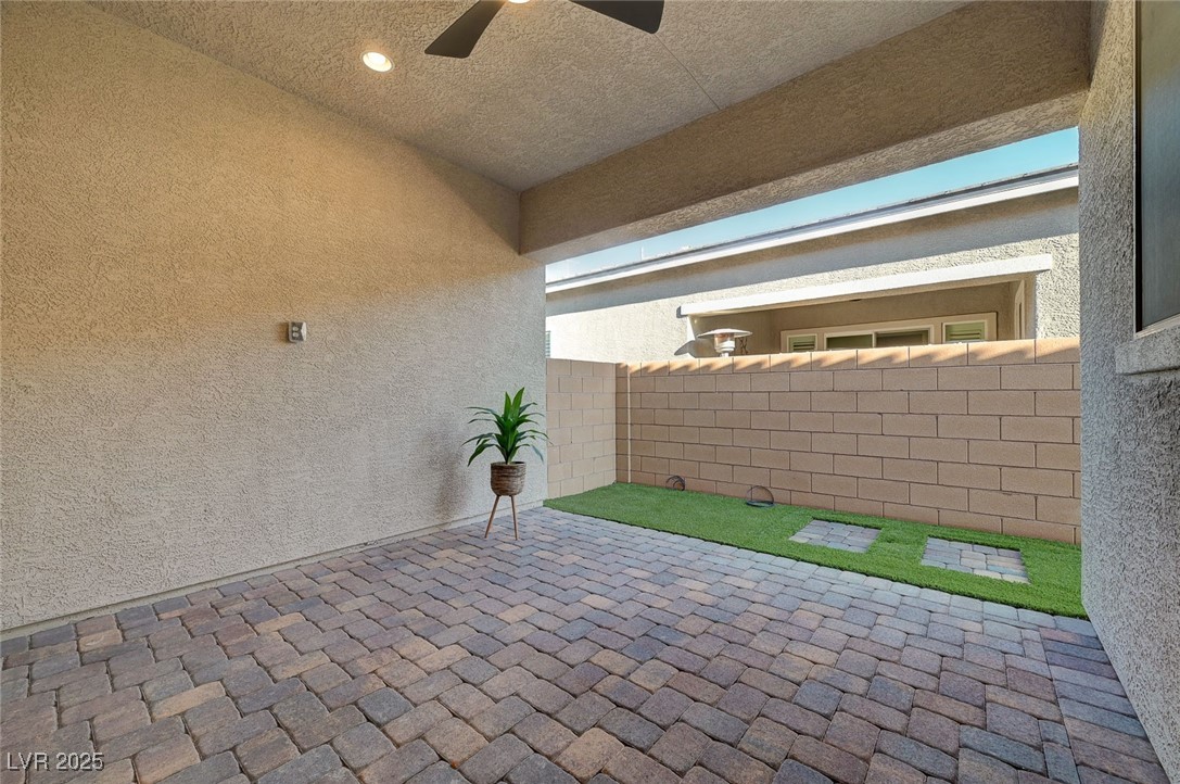 10251 Tiger Milkweed Street