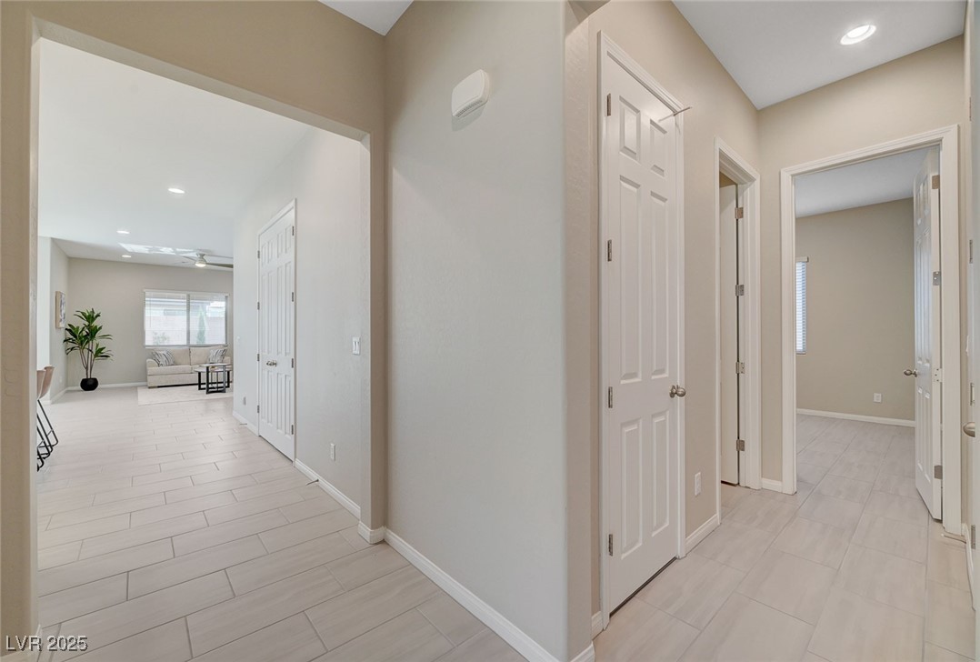 10251 Tiger Milkweed Street