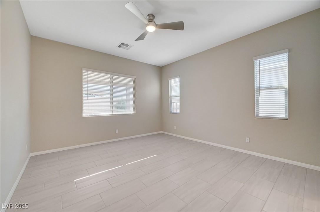 10251 Tiger Milkweed Street