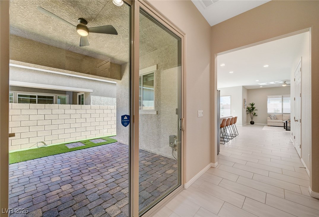 10251 Tiger Milkweed Street