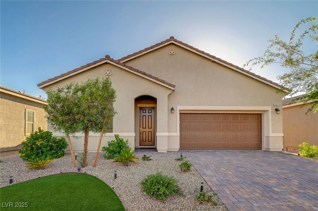 10251 Tiger Milkweed Street