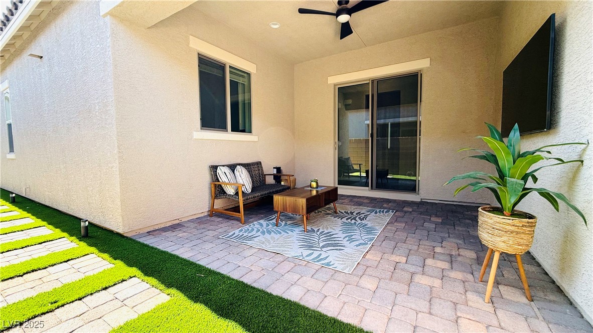 10251 Tiger Milkweed Street