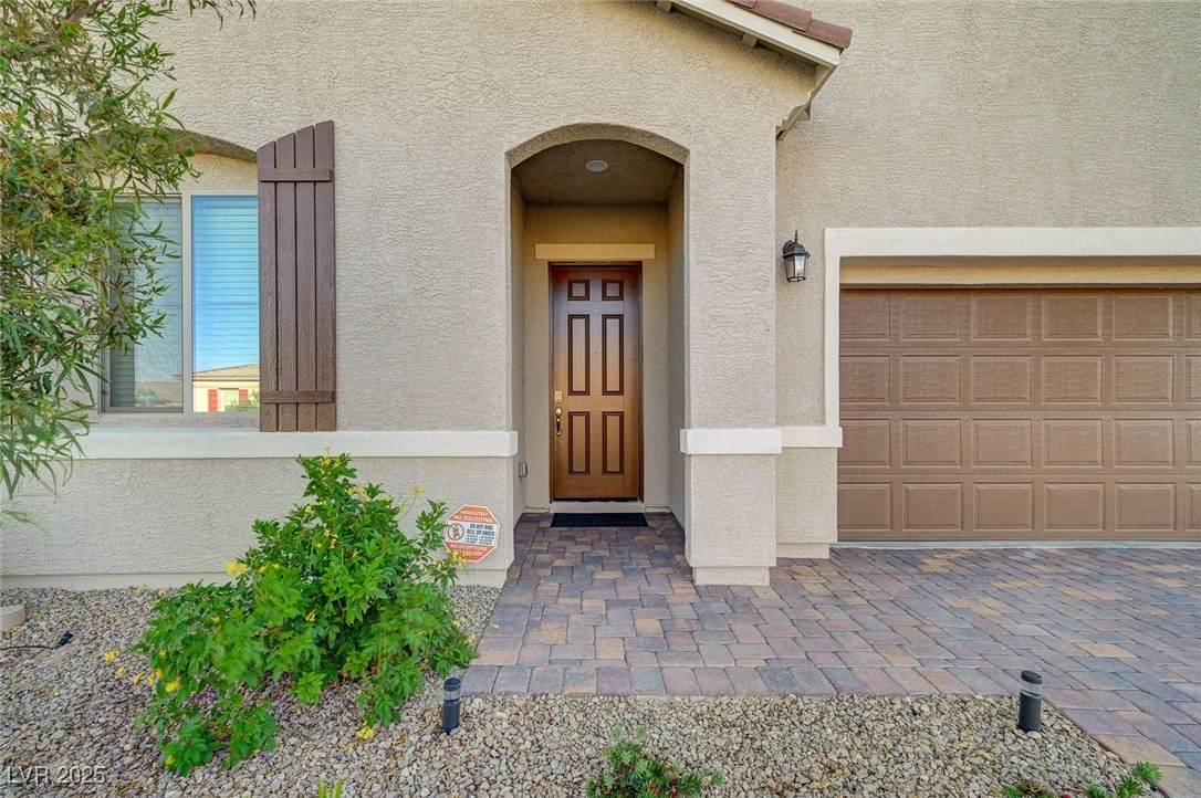 10251 Tiger Milkweed Street