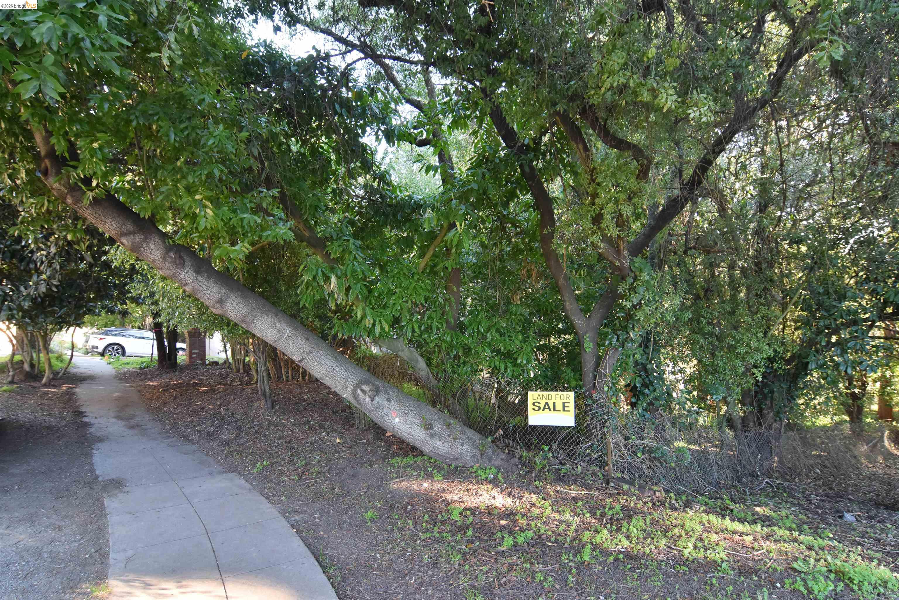962 Regal Rd