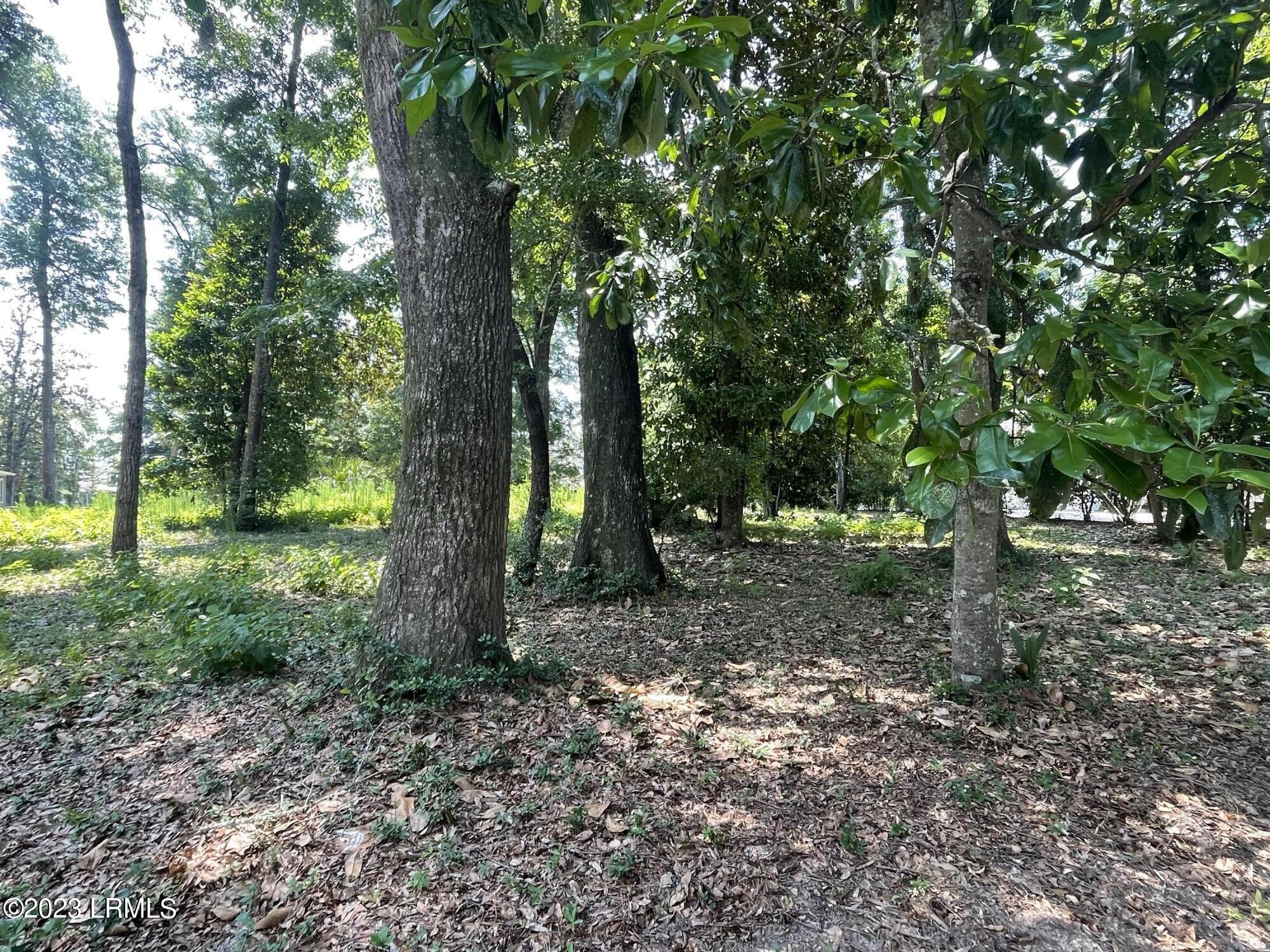 104 Palmetto Place