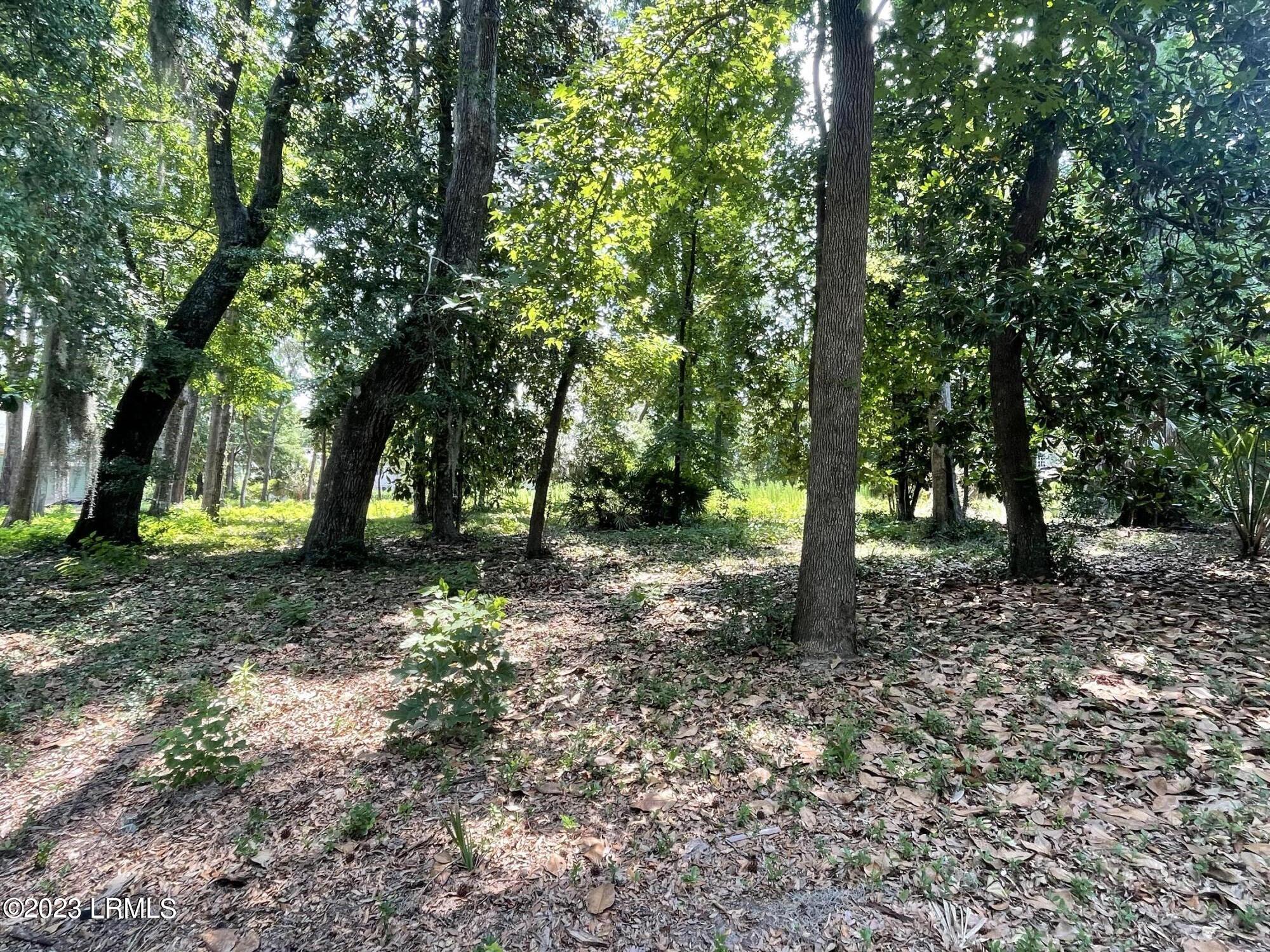 104 Palmetto Place