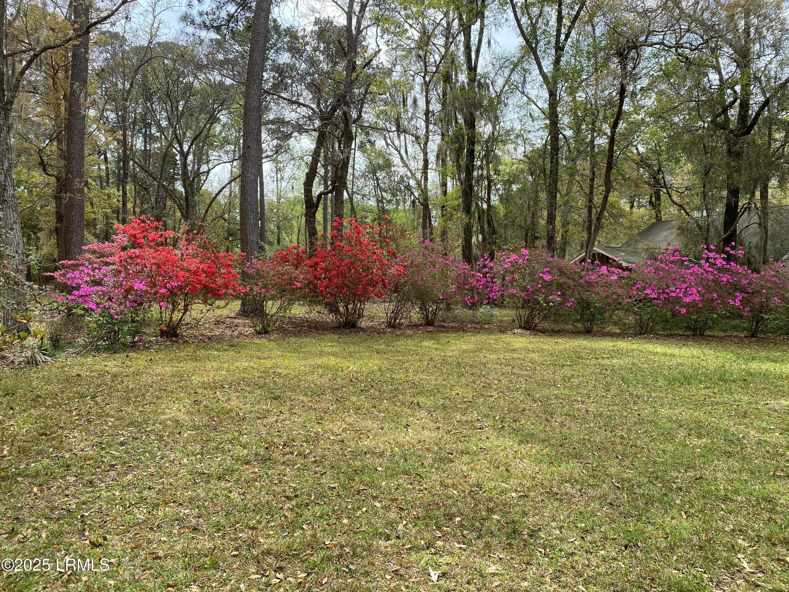 59 Francis Marion Circle