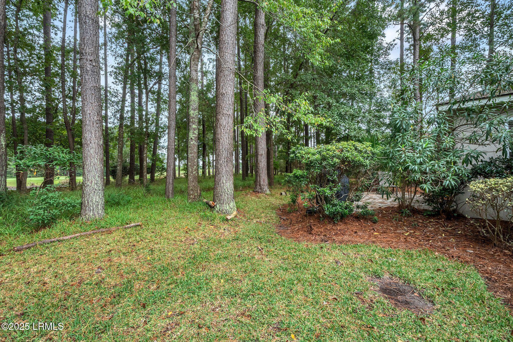 80 Cypress Hollow