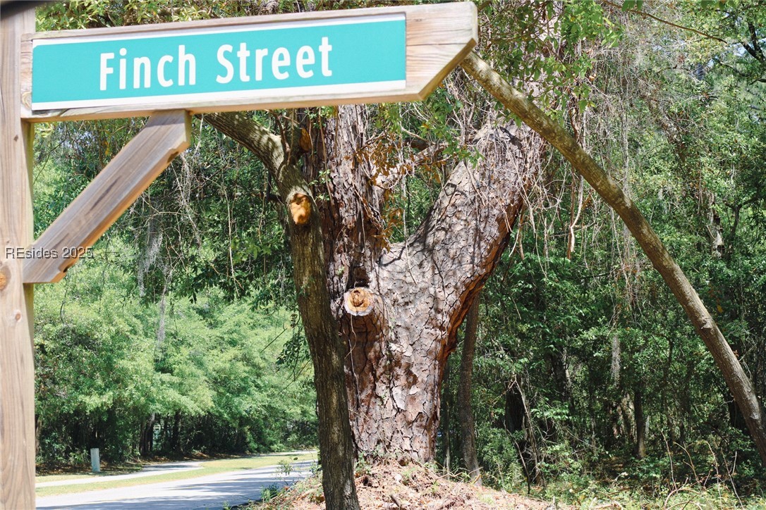 11 Finch Street