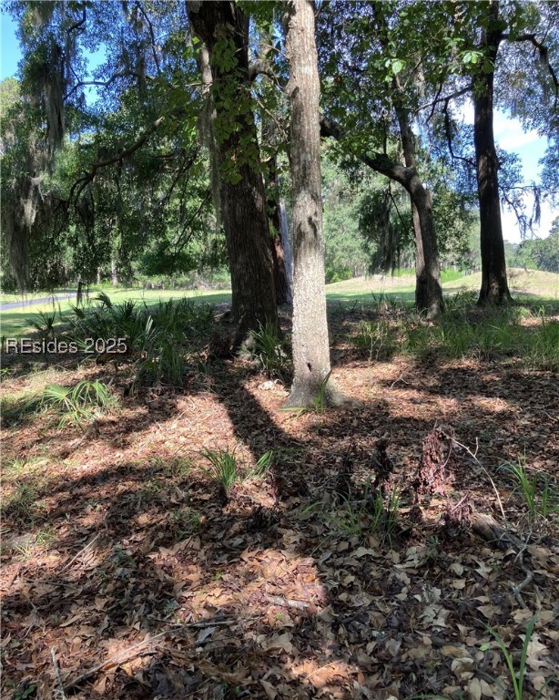 41 Volunteers Ridge
