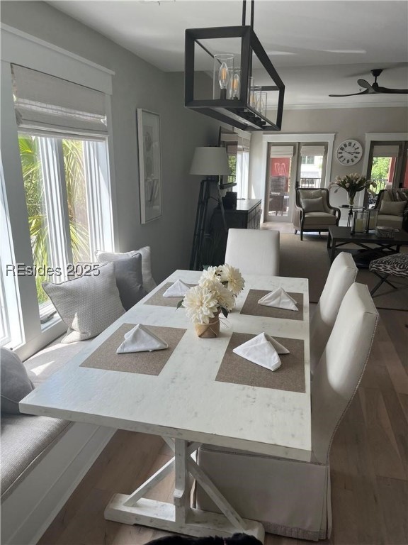 10 Johnston Way Unit: E