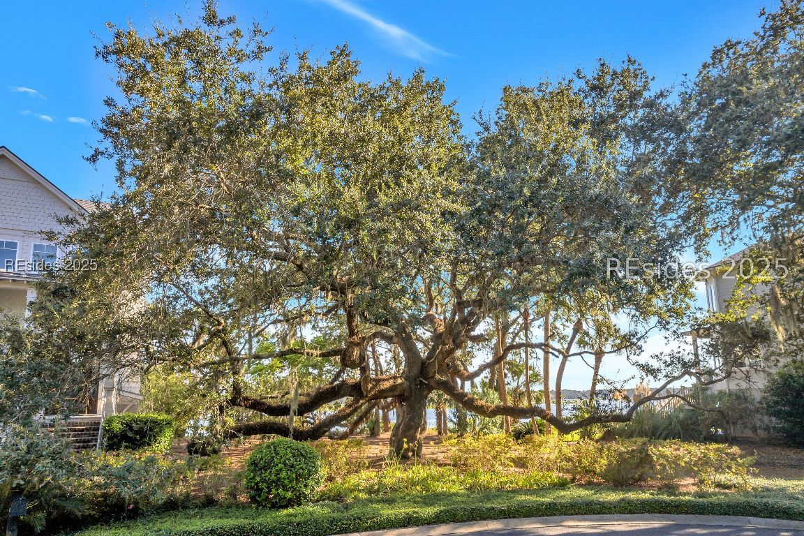 25 Mossy Oaks Lane