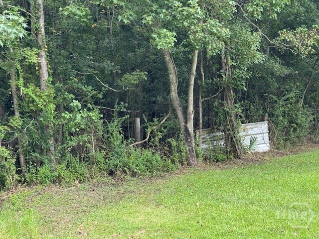 0 Hawkinsville Road