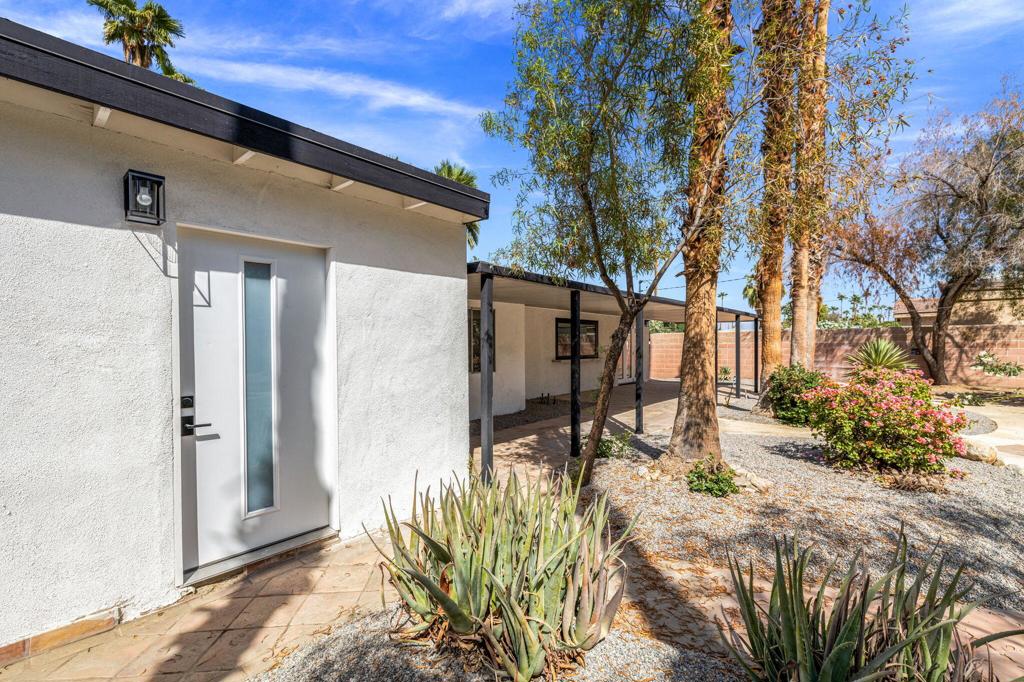 74619 Candlewood Street