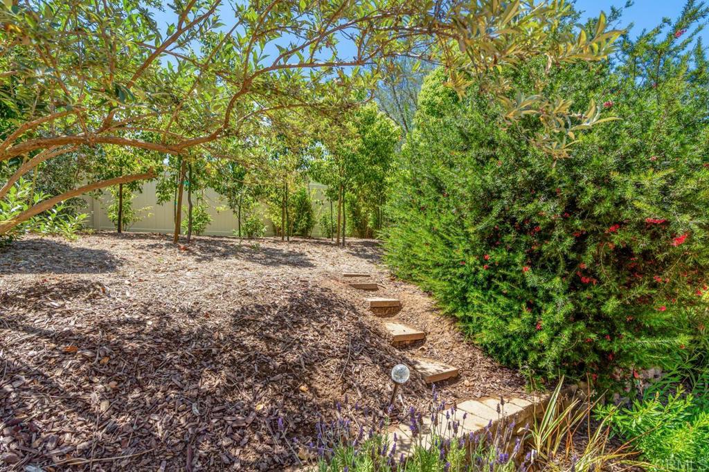 1444 North twin Oaks Valley Road