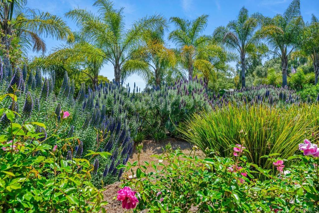 1444 North twin Oaks Valley Road