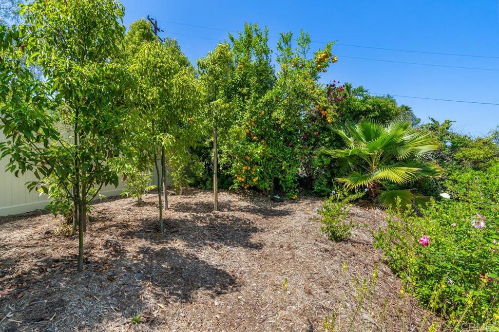 1444 North twin Oaks Valley Road