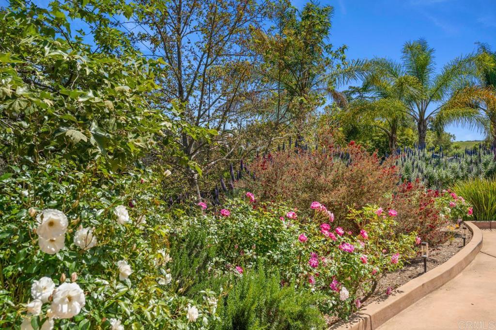 1444 North twin Oaks Valley Road