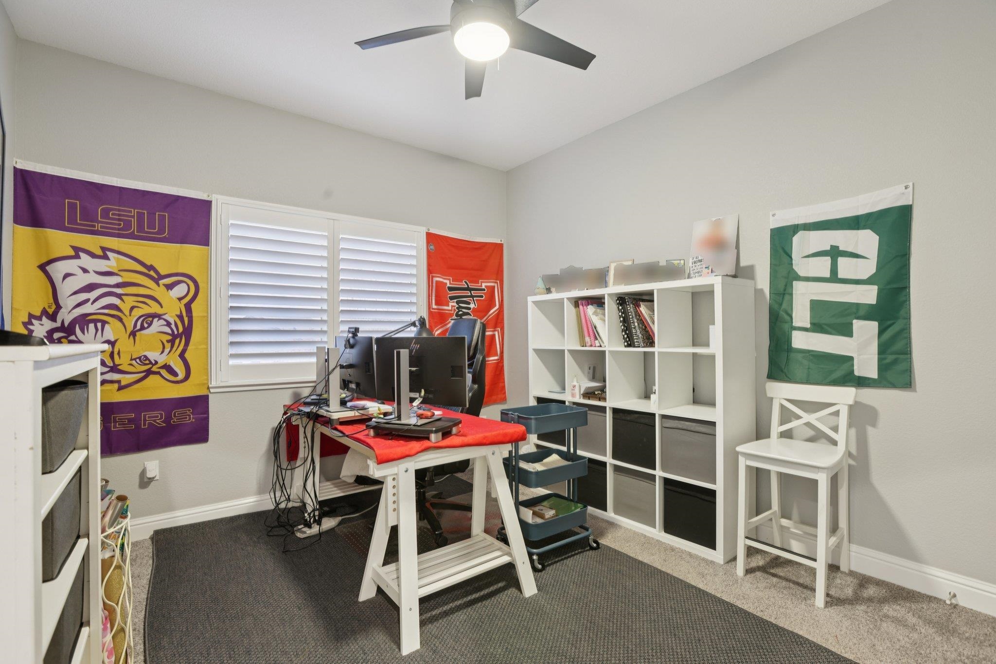 2519 Ava Julianna Way