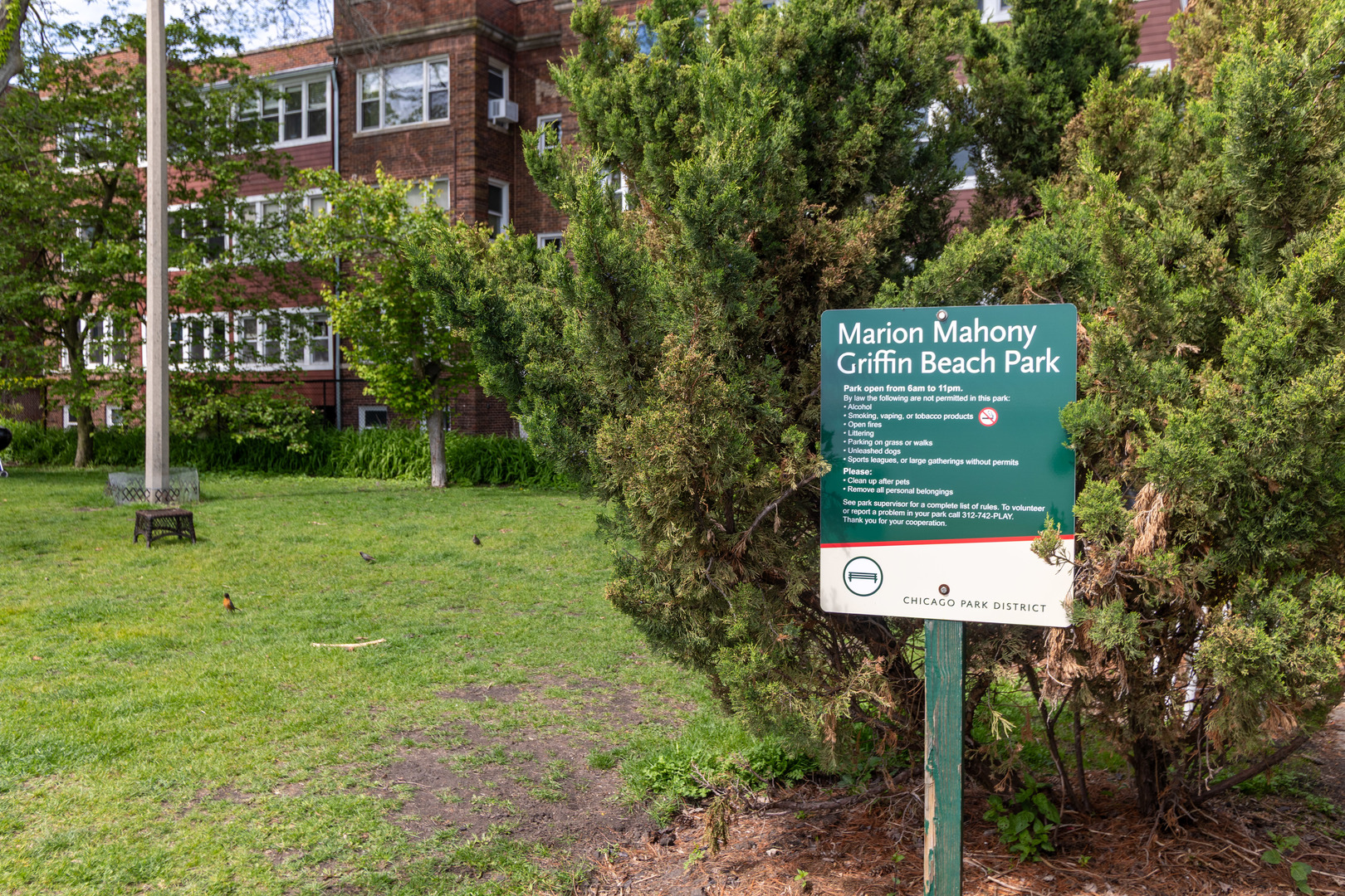 1239 W Jarvis Avenue Unit: 3