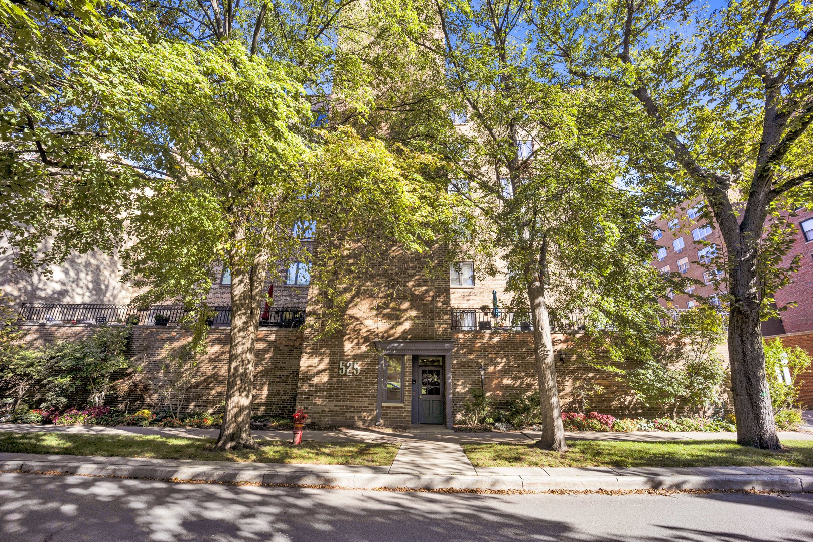 525 grove Street Unit: 4D