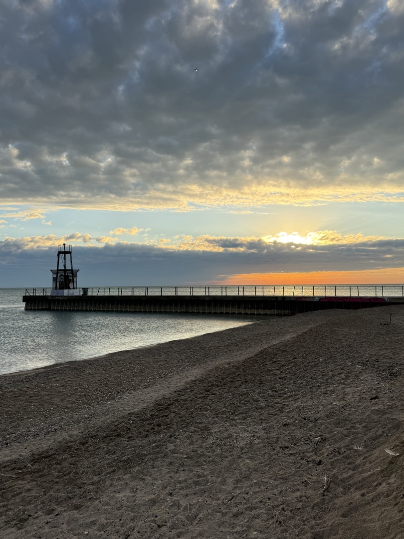 1136 W PRATT Boulevard Unit: 1N