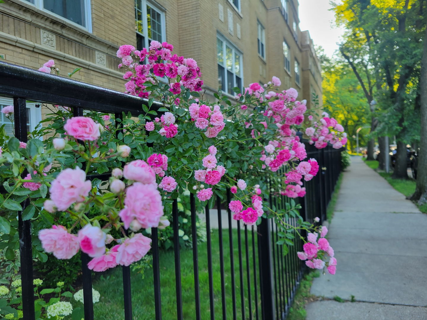 1908 W CHASE Avenue Unit: 203