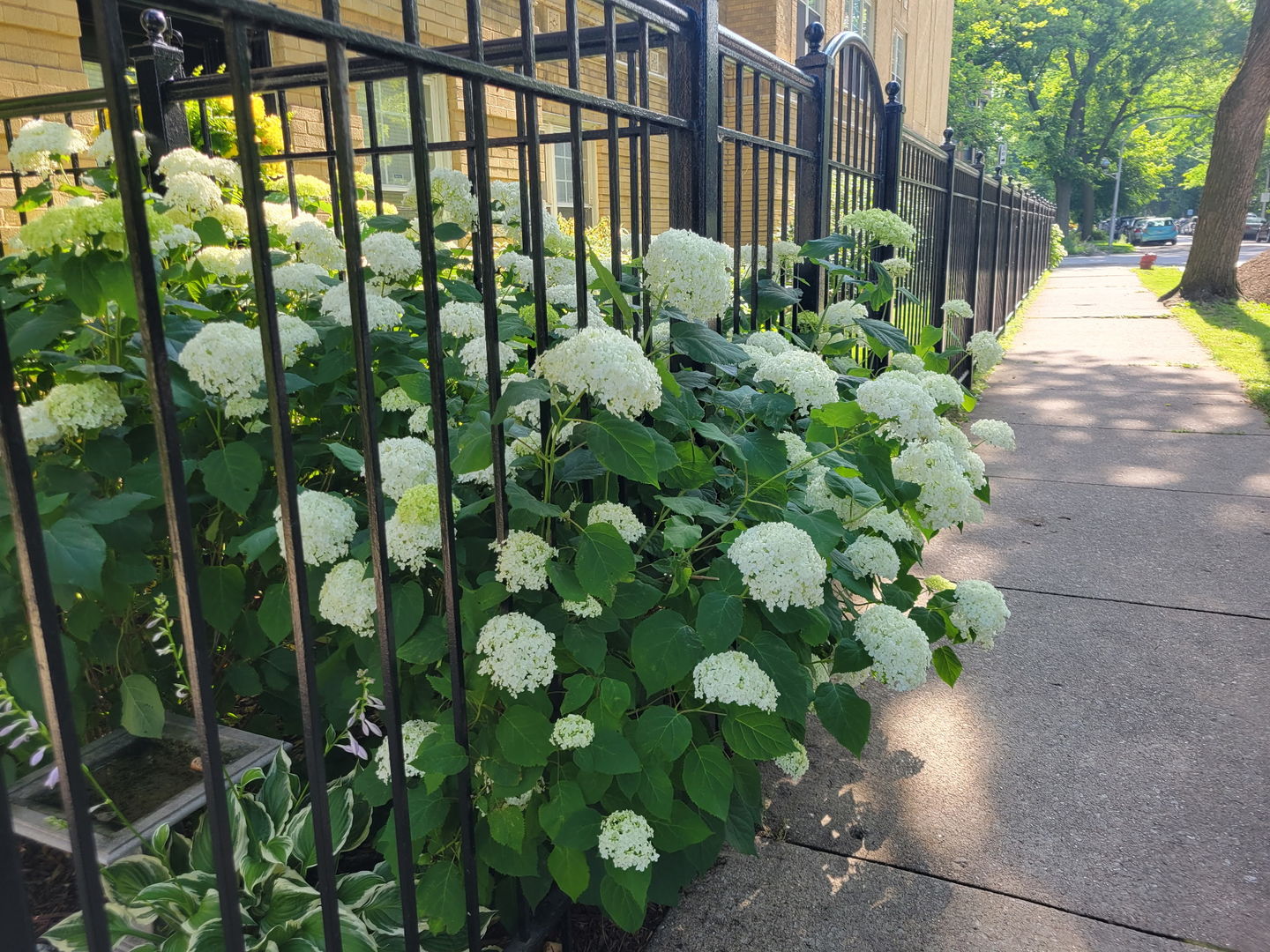 1908 W CHASE Avenue Unit: 203