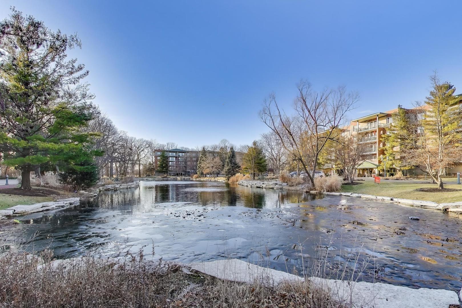 3940 W Bryn Mawr Avenue Unit: 501