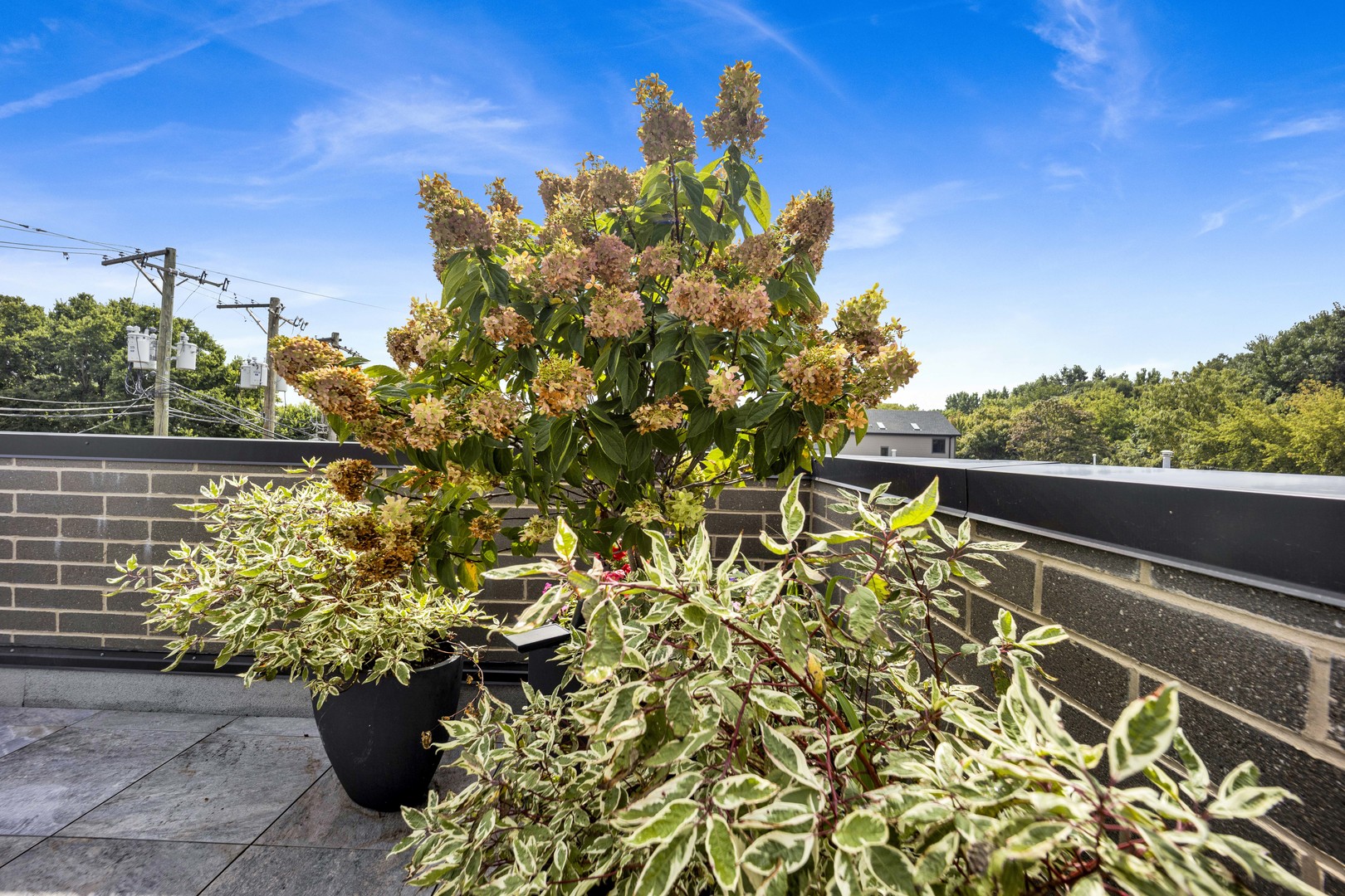 1767 W Rosehill Drive Unit: 203
